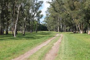 En los Partidos de Pila y Rauch, Provincia de Buenos Aires. 