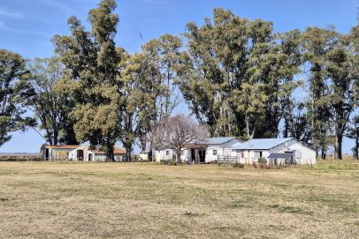 En el partido de Gral. Alvear, provincia de Buenos Aires, próximo a la ruta 205.