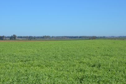 En el Partido de CAPITAN SARMIENTO, Provincia de Buenos Aires. A metros de la autopista N8, entre las localidades de Capitan Sarmiento y Arrecifes.