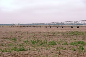 En el Departamento Robles Provincia de Santiago del Estero. A 20 km de la Ciudad de Fernandez y a 1.000 de la Capital Federal.